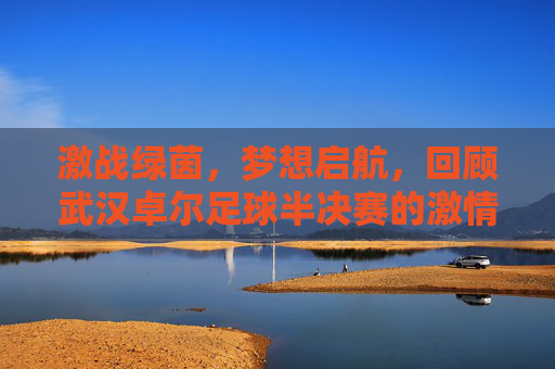 激战绿茵,梦想启航,回顾武汉卓尔足球半决赛的激情与荣耀