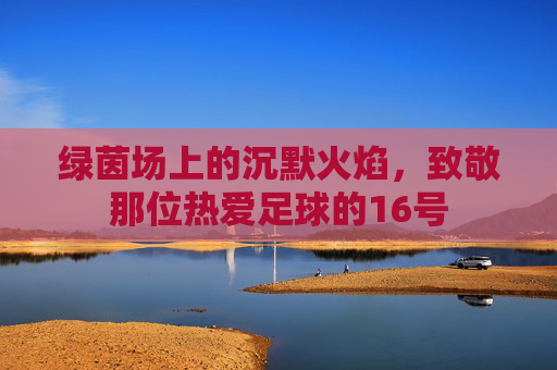 绿茵场上的沉默火焰,致敬那位热爱足球的16号