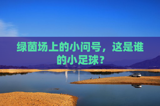绿茵场上的小问号,这是谁的小足球?