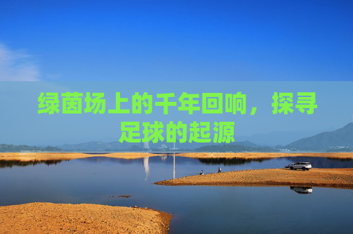 绿茵场上的千年回响,探寻足球的起源