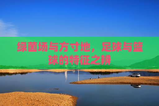 绿茵场与方寸地,足球与篮球的特征之辨