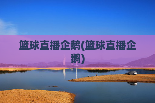 篮球直播企鹅(篮球直播企鹅)