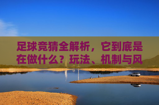 足球竞猜全解析,它到底是在做什么?玩法、机制与风险深度解读