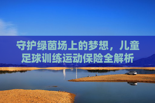 守护绿茵场上的梦想,儿童足球训练运动保险全解析