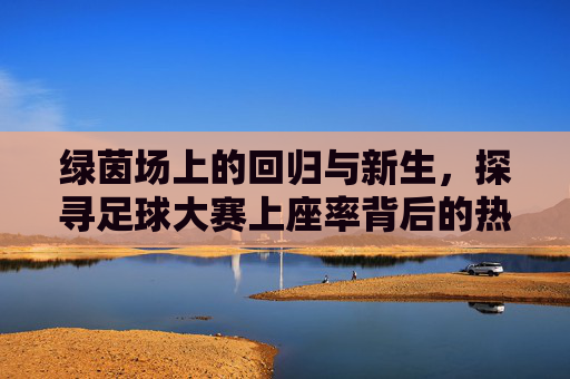 绿茵场上的回归与新生,探寻足球大赛上座率背后的热潮与逻辑