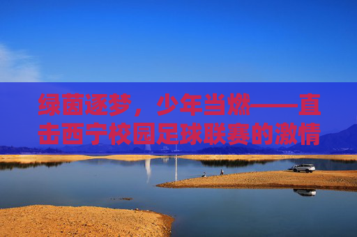 绿茵逐梦，少年当燃——直击西宁校园足球联赛的激情与热血