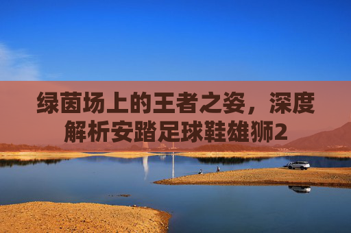 绿茵场上的王者之姿,深度解析安踏足球鞋雄狮2