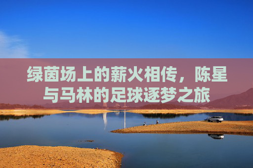 绿茵场上的薪火相传,陈星与马林的足球逐梦之旅