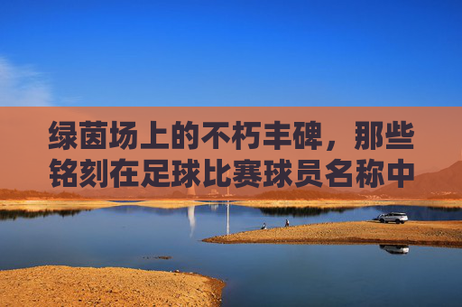 绿茵场上的不朽丰碑,那些铭刻在足球比赛球员名称中的传奇