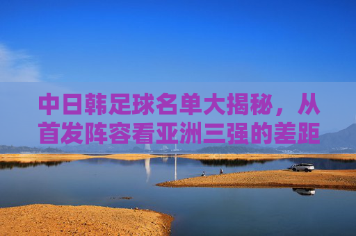中日韩足球名单大揭秘,从首发阵容看亚洲三强的差距与未来