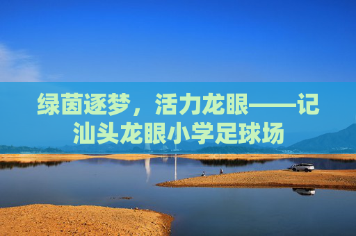 绿茵逐梦,活力龙眼——记汕头龙眼小学足球场