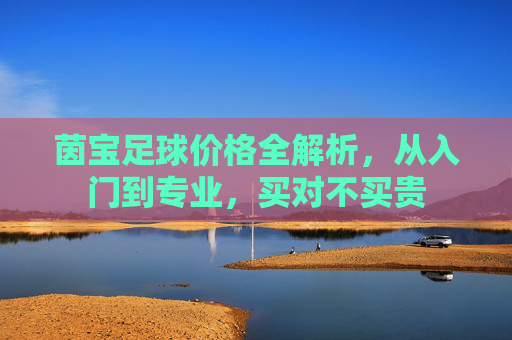茵宝足球价格全解析,从入门到专业,买对不买贵