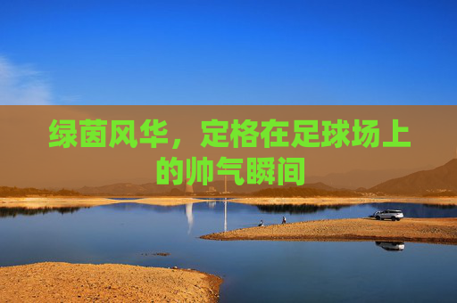 绿茵风华,定格在足球场上的帅气瞬间