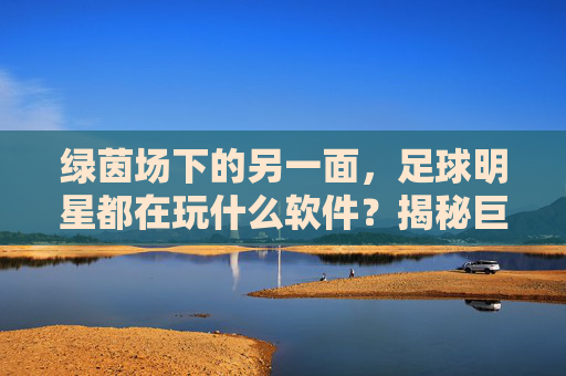 绿茵场下的另一面,足球明星都在玩什么软件?揭秘巨星们的电子游戏生活