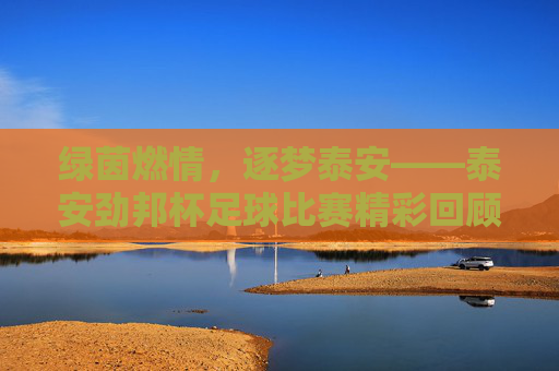 绿茵燃情,逐梦泰安——泰安劲邦杯足球比赛精彩回顾
