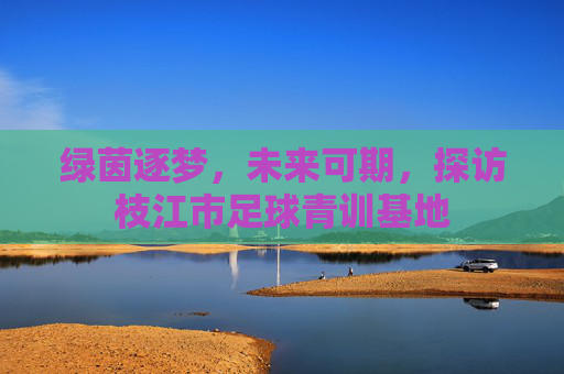 绿茵逐梦，未来可期，探访枝江市足球青训基地