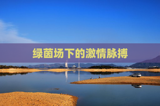 绿茵场下的激情脉搏