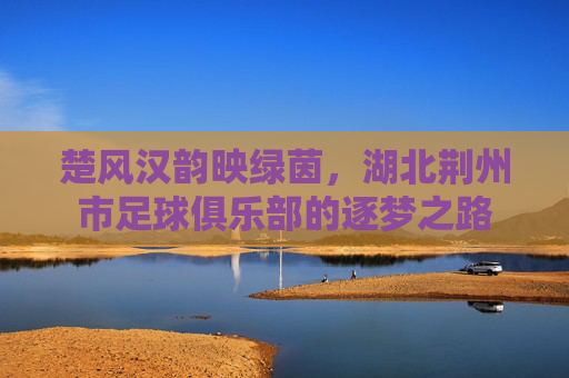 楚风汉韵映绿茵，湖北荆州市足球俱乐部的逐梦之路