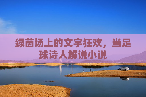 绿茵场上的文字狂欢,当足球诗人解说小说