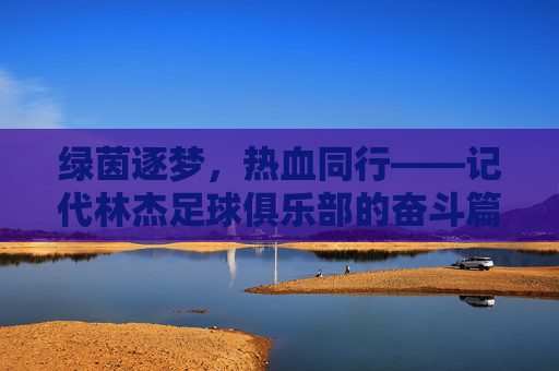 绿茵逐梦,热血同行——记代林杰足球俱乐部的奋斗篇章