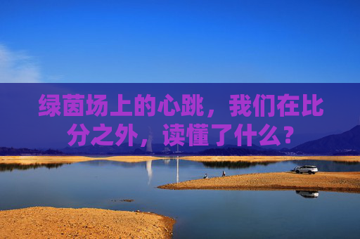 绿茵场上的心跳,我们在比分之外,读懂了什么?