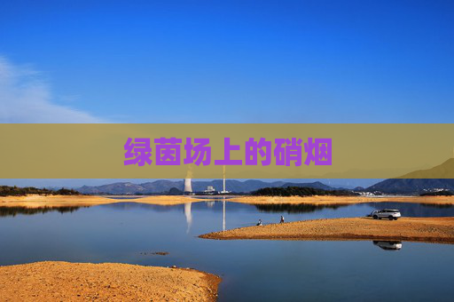 绿茵场上的硝烟