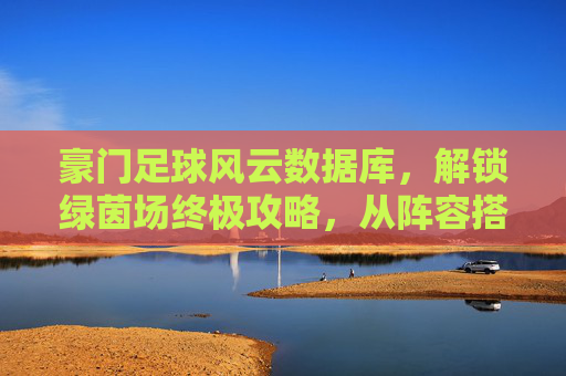 豪门足球风云数据库,解锁绿茵场终极攻略,从阵容搭配到球员养成