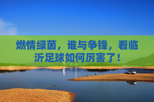 燃情绿茵,谁与争锋,看临沂足球如何厉害了!