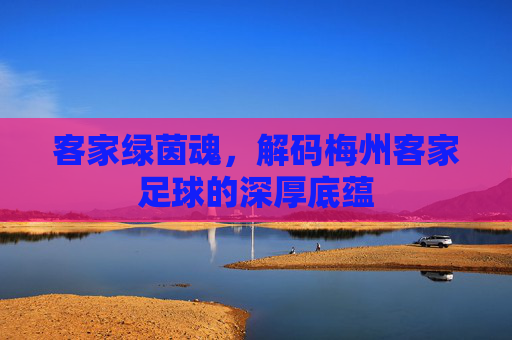 客家绿茵魂,解码梅州客家足球的深厚底蕴