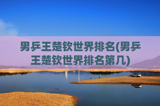 男乒王楚钦世界排名(男乒王楚钦世界排名第几)