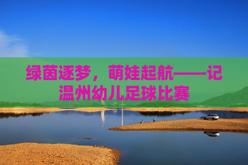 绿茵逐梦，萌娃起航——记温州幼儿足球比赛