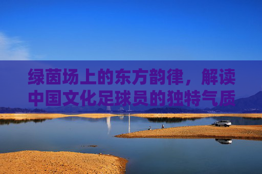 绿茵场上的东方韵律,解读中国文化足球员的独特气质