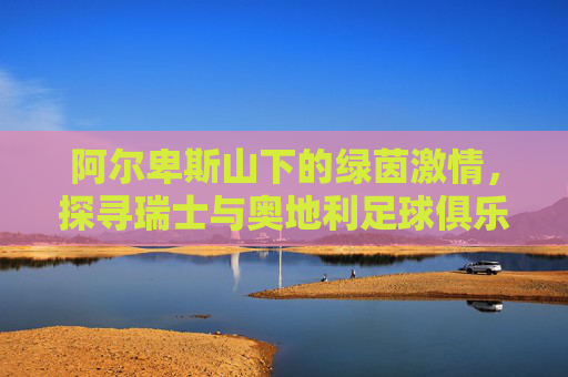 阿尔卑斯山下的绿茵激情,探寻瑞士与奥地利足球俱乐部的独特魅力
