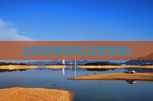 企鹅直播篮网(企鹅直播)