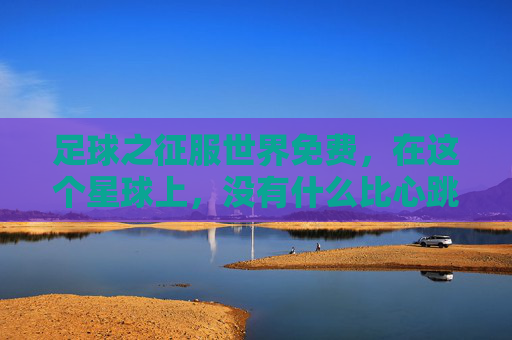 足球之征服世界免费,在这个星球上,没有什么比心跳更廉价