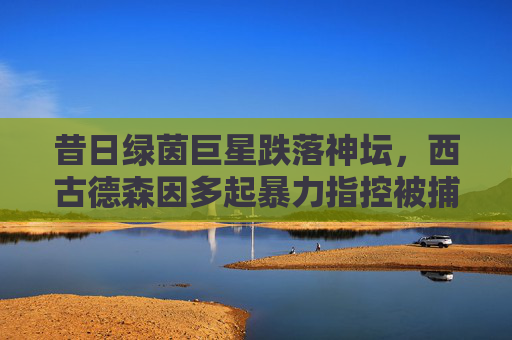 昔日绿茵巨星跌落神坛,西古德森因多起暴力指控被捕