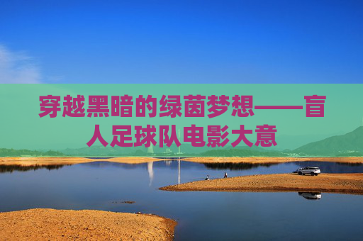 穿越黑暗的绿茵梦想——盲人足球队电影大意
