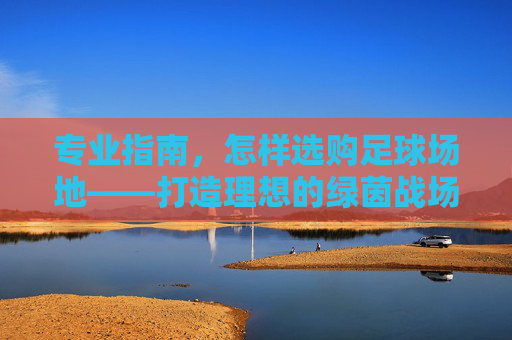 专业指南,怎样选购足球场地——打造理想的绿茵战场
