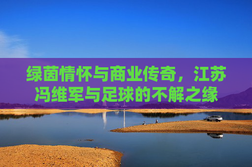 绿茵情怀与商业传奇,江苏冯维军与足球的不解之缘