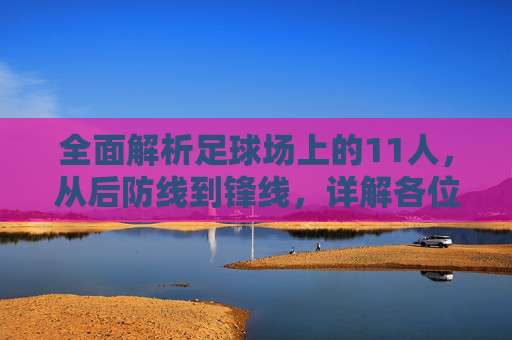 全面解析足球场上的11人,从后防线到锋线,详解各位置职责与特点