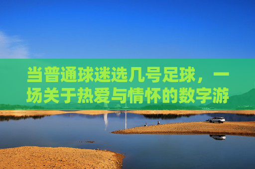 当普通球迷选几号足球,一场关于热爱与情怀的数字游戏