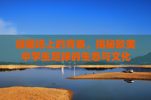 绿茵场上的青春,揭秘欧美中学生足球的生态与文化