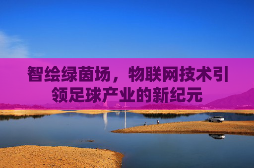 智绘绿茵场,物联网技术引领足球产业的新纪元