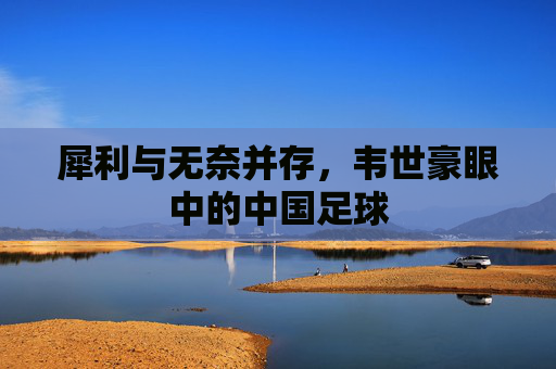 犀利与无奈并存,韦世豪眼中的中国足球