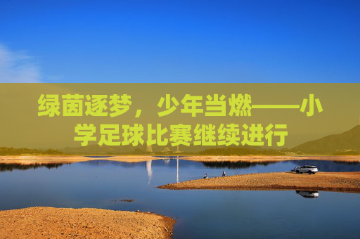 绿茵逐梦,少年当燃——小学足球比赛继续进行