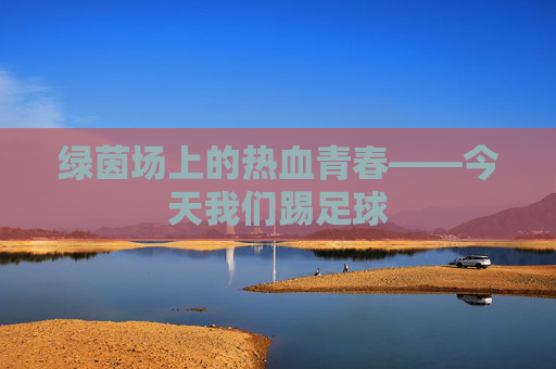 绿茵场上的热血青春——今天我们踢足球