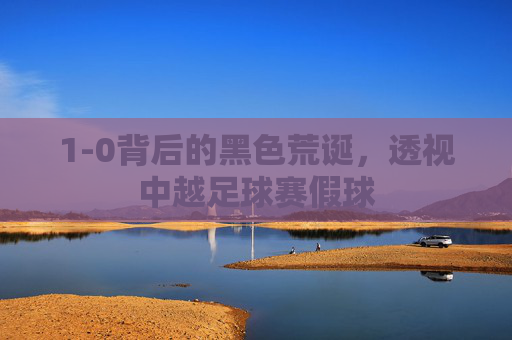 1-0背后的黑色荒诞,透视中越足球赛假球
