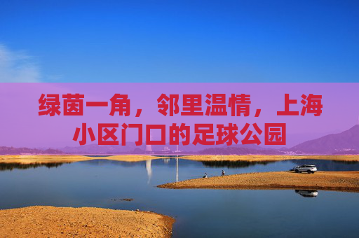 绿茵一角，邻里温情，上海小区门口的足球公园