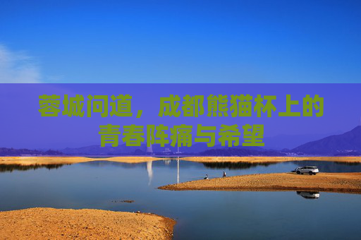 蓉城问道，成都熊猫杯上的青春阵痛与希望