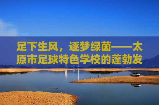 足下生风,逐梦绿茵——太原市足球特色学校的蓬勃发展之路
